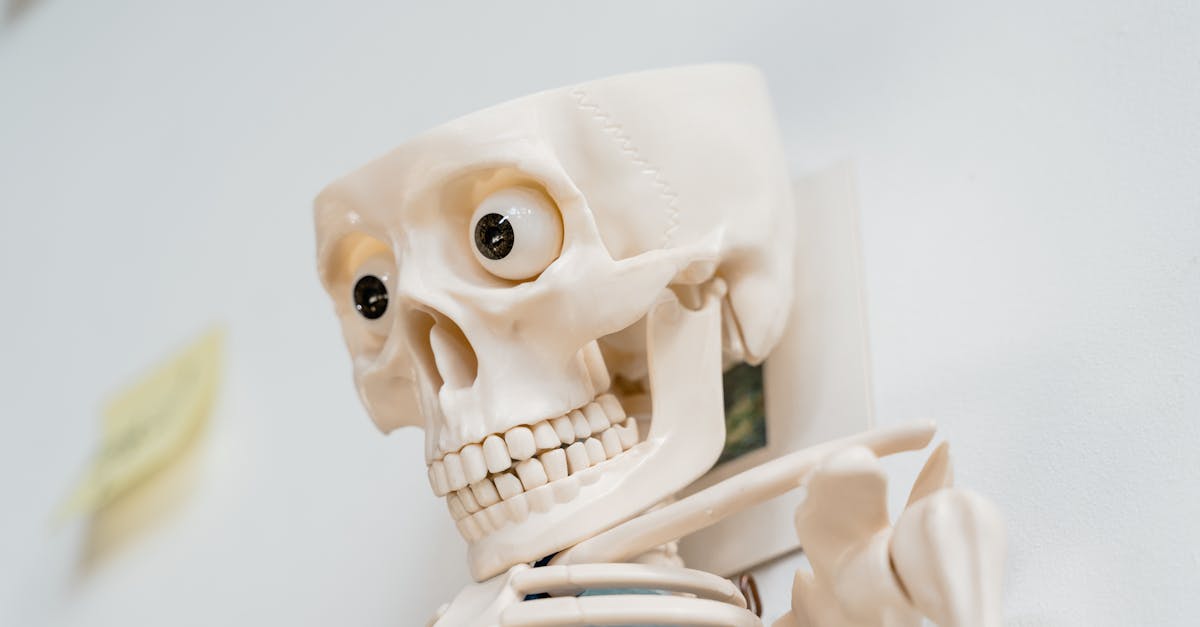 How to Prepare Your Documents for APM Certification Application